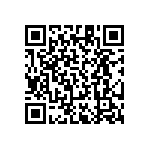 RT1206DRD0745R3L QRCode