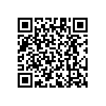 RT1206DRD07487RL QRCode