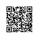 RT1206DRD074K99L QRCode