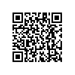 RT1206DRD0751R1L QRCode