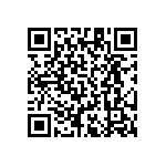 RT1206DRD07576RL QRCode