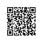 RT1206DRD0764R9L QRCode