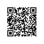 RT1206DRD07787RL QRCode