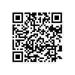 RT1206DRD0793K1L QRCode