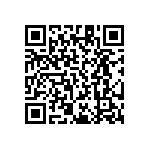 RT1206DRD079K53L QRCode