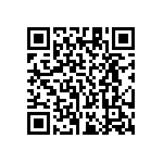 RT1206DRE0713K3L QRCode