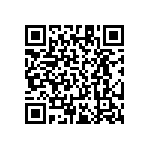 RT1206DRE0716R9L QRCode