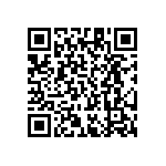 RT1206DRE074K99L QRCode