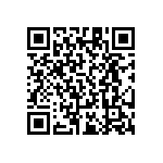 RT1206FRD0713R7L QRCode