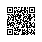 RT1206FRE0713K3L QRCode