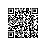 RT1206FRE0740K2L QRCode