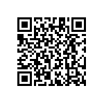 RT1206WRB074K53L QRCode