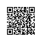 RT1206WRD0717K4L QRCode