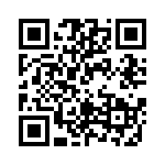 RT12C2P202 QRCode