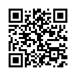 RT22C2P500 QRCode