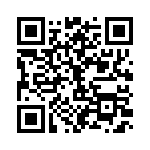 RT24C2W101 QRCode