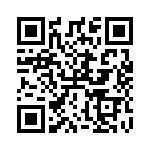 RT8251GQW QRCode