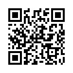 RT9027BGS QRCode