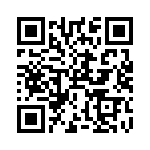 RT9030A-12GB QRCode