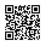 RT9080-12GQZ QRCode