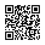 RT9167-18GB QRCode