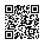 RT9167-33GB QRCode