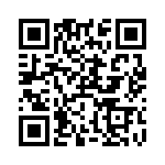 RT9167-47GB QRCode