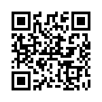 RT9741CGV QRCode