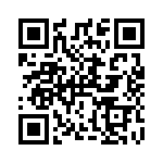 RT9741DGV QRCode