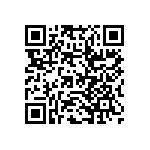 RWR80S1R96FSB12 QRCode