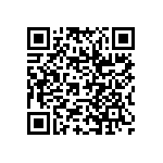 RWR89Z3010BRB12 QRCode