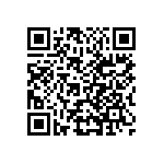 S912XEG384BCALR QRCode