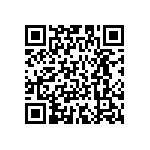 SIT2024BMTS-28E QRCode