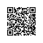 SMBG5338CE3-TR13 QRCode