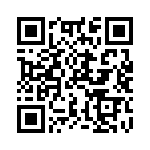 SMBG5341C-TR13 QRCode