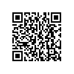 SMBG5379CE3-TR13 QRCode