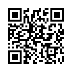 T10A068 QRCode