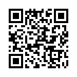 T38007-24-0 QRCode