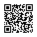 T38011-07-0 QRCode