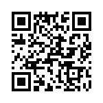 T38013-02-0 QRCode