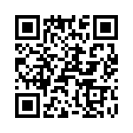 T38020-23-0 QRCode