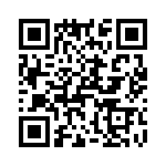 T38028-01-0 QRCode