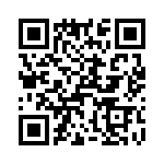 T38028-07-0 QRCode