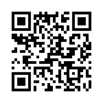 T38028-11-0 QRCode