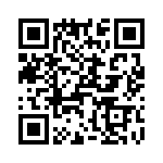 T38030-26-0 QRCode