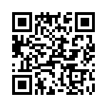 T38032-22-0 QRCode