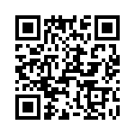 T38035-11-0 QRCode