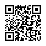 T38037-22-0 QRCode