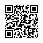 T38040-11-0 QRCode