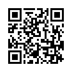 T38043-02-0 QRCode